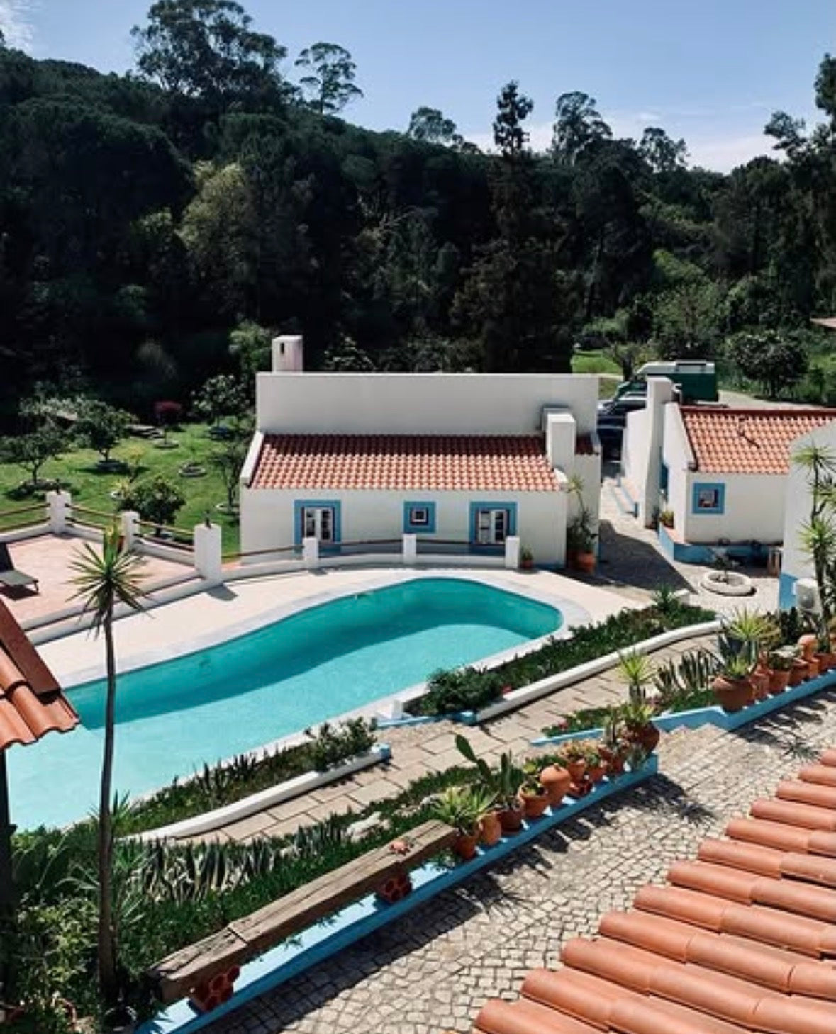 RARE SAVAGE BJJ/SURF/ACTIVITY CAMP PORTUGAL 10-14 September